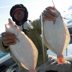 大進丸（愛知） 釣果