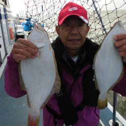 大進丸（愛知） 釣果