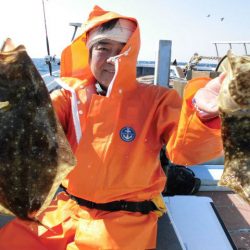 大進丸（愛知） 釣果