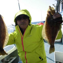 大進丸（愛知） 釣果