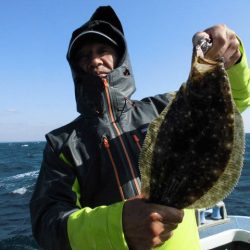 大進丸（愛知） 釣果