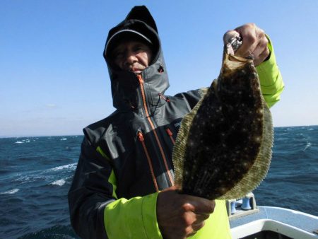 大進丸（愛知） 釣果