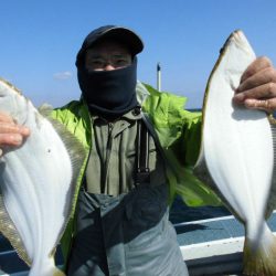 大進丸（愛知） 釣果