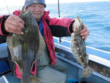 大進丸（愛知） 釣果