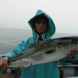 大進丸（愛知） 釣果