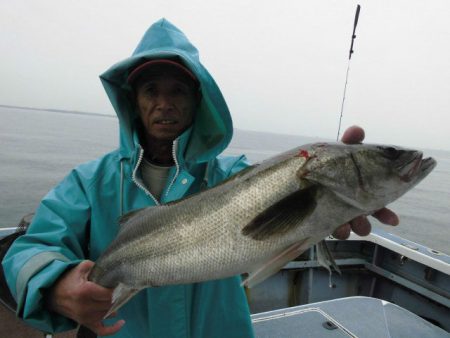 大進丸（愛知） 釣果