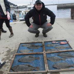 大進丸（愛知） 釣果