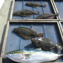 大進丸（愛知） 釣果