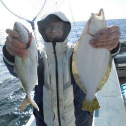 大進丸（愛知） 釣果