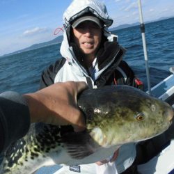 大進丸（愛知） 釣果