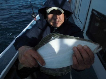 大進丸（愛知） 釣果