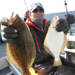 大進丸（愛知） 釣果