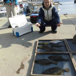 大進丸（愛知） 釣果