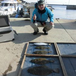 大進丸（愛知） 釣果