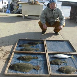 大進丸（愛知） 釣果