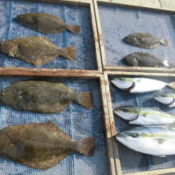 大進丸（愛知） 釣果