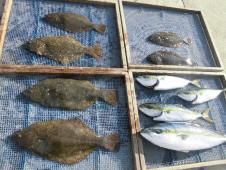 大進丸（愛知） 釣果