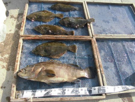 大進丸（愛知） 釣果