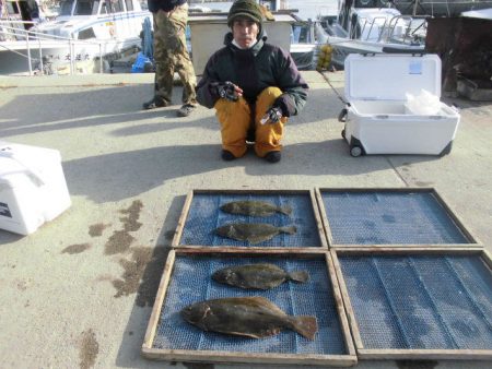 大進丸（愛知） 釣果