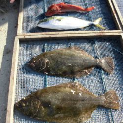 大進丸（愛知） 釣果