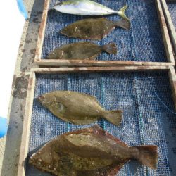 大進丸（愛知） 釣果