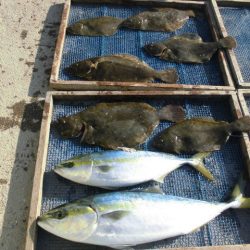 大進丸（愛知） 釣果