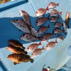 十八宝洋丸 釣果