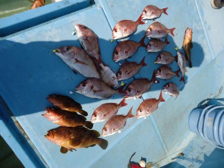 十八宝洋丸 釣果