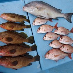 十八宝洋丸 釣果