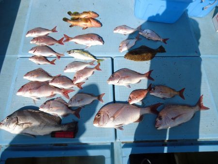 十八宝洋丸 釣果