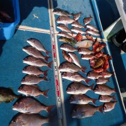 十八宝洋丸 釣果