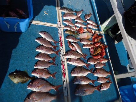 十八宝洋丸 釣果