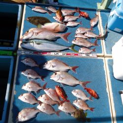 十八宝洋丸 釣果