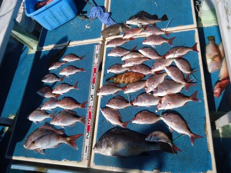 十八宝洋丸 釣果