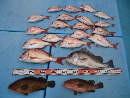 十八宝洋丸 釣果