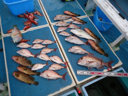 十八宝洋丸 釣果