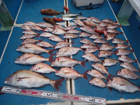 十八宝洋丸 釣果