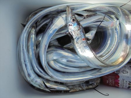 ＨＡＲＵＫＡ丸　はるかまる 釣果