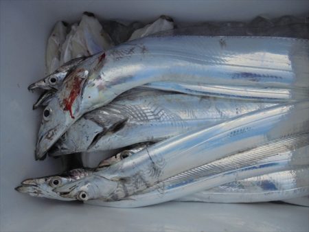 ＨＡＲＵＫＡ丸　はるかまる 釣果