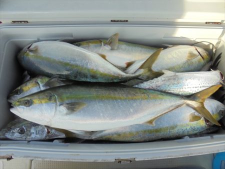 HARUKA丸 はるかまる 釣果
