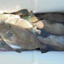 HARUKA丸 はるかまる 釣果