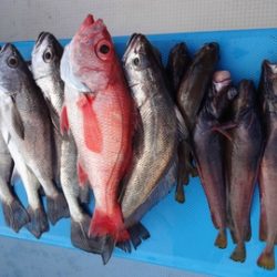 第五裕丸 釣果