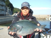 春日丸 釣果