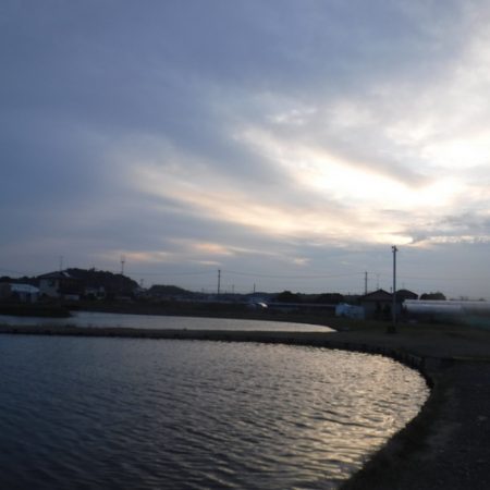 浜名湖フィッシングリゾート 釣果