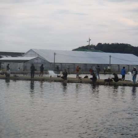 浜名湖フィッシングリゾート 釣果
