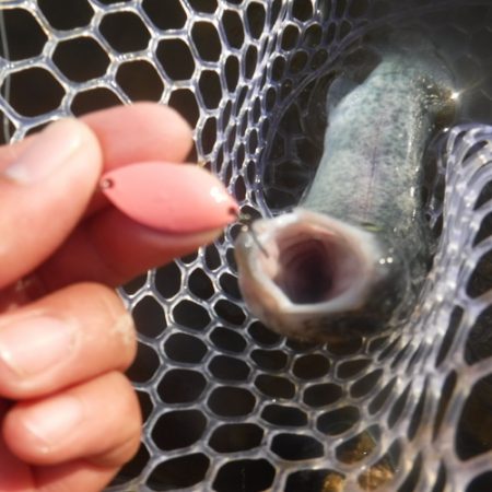 浜名湖フィッシングリゾート 釣果