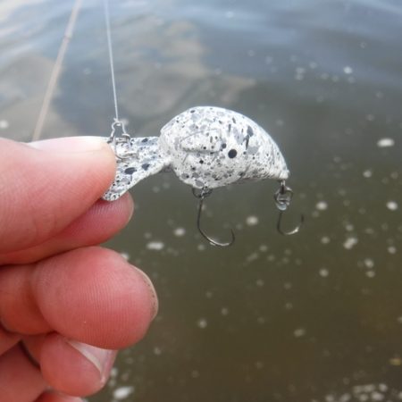 浜名湖フィッシングリゾート 釣果