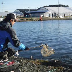 浜名湖フィッシングリゾート 釣果