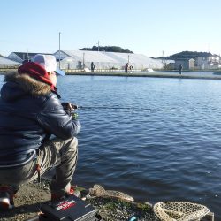浜名湖フィッシングリゾート 釣果