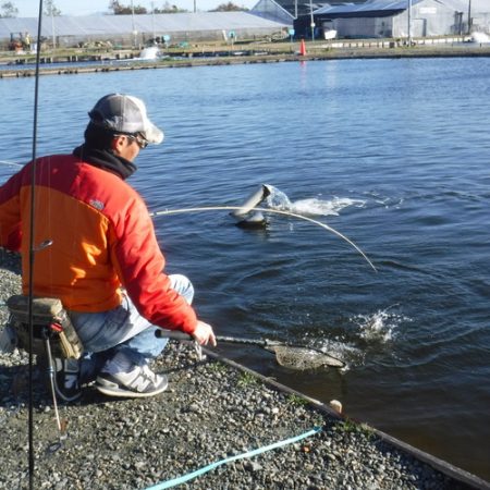 浜名湖フィッシングリゾート 釣果